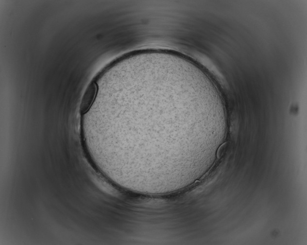 X0000100781372200807171432