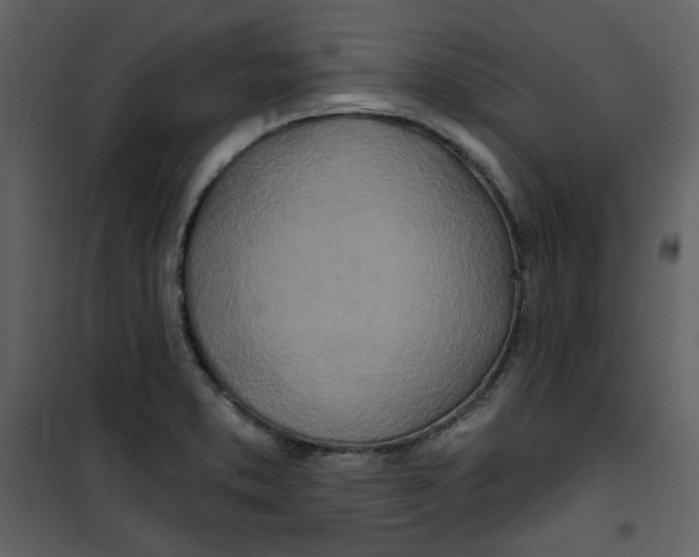 X0000100781373200807171432