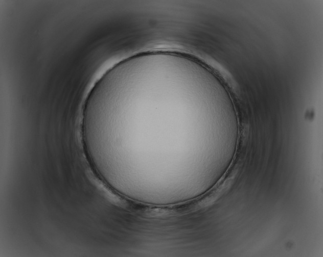 X0000100781374200807171432