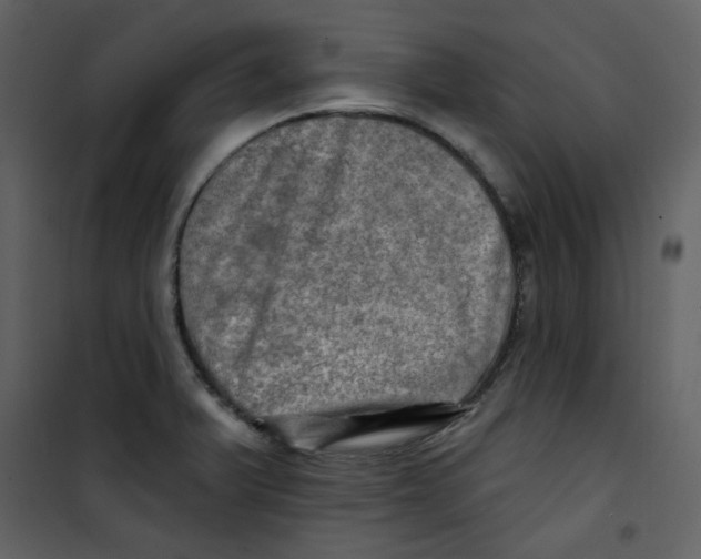 X0000100781375200807171432