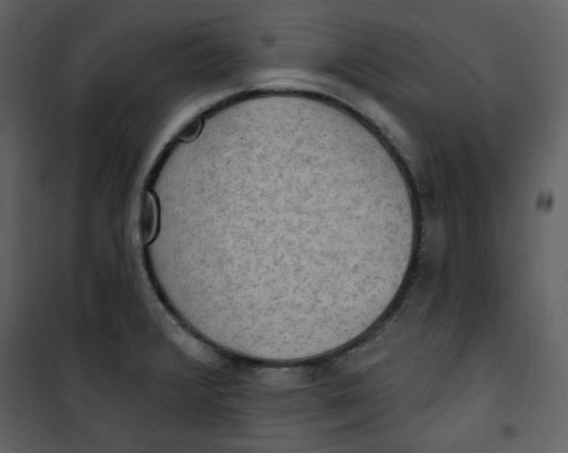X0000100781376200807171432