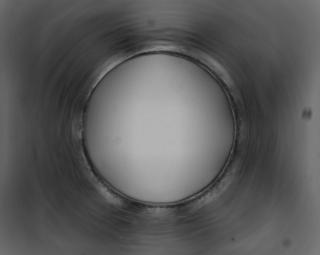 X0000100781377200807171432