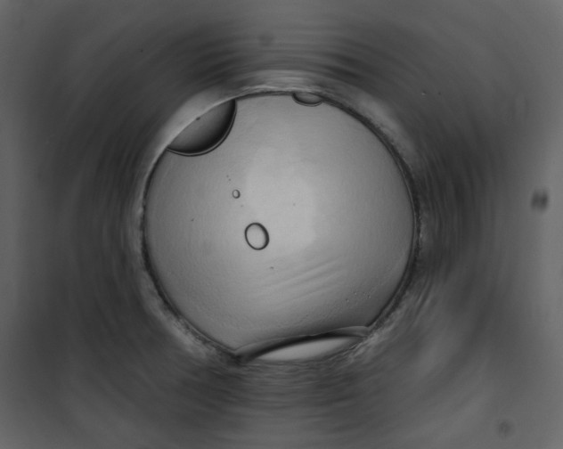 X0000100781378200807171432