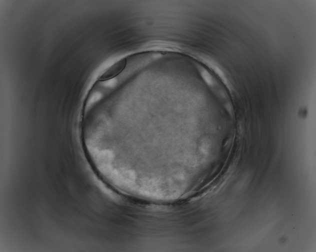 X0000100781379200807171432