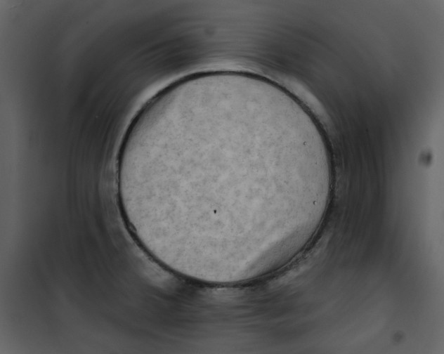 X0000100781380200807171432