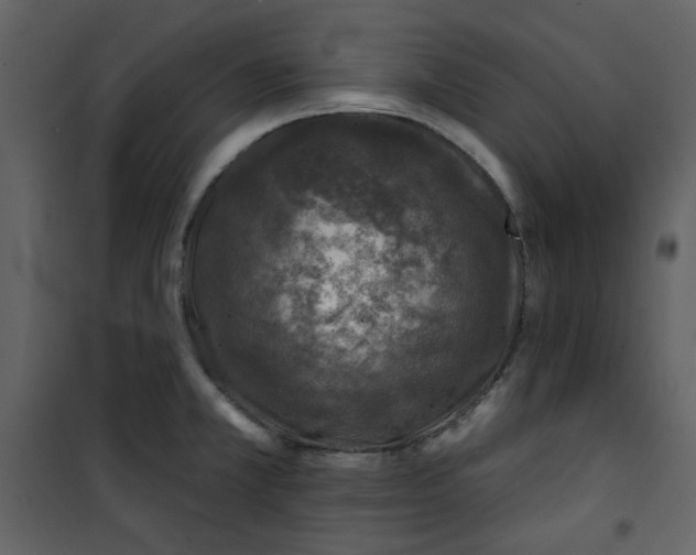 X0000100781381200807171432
