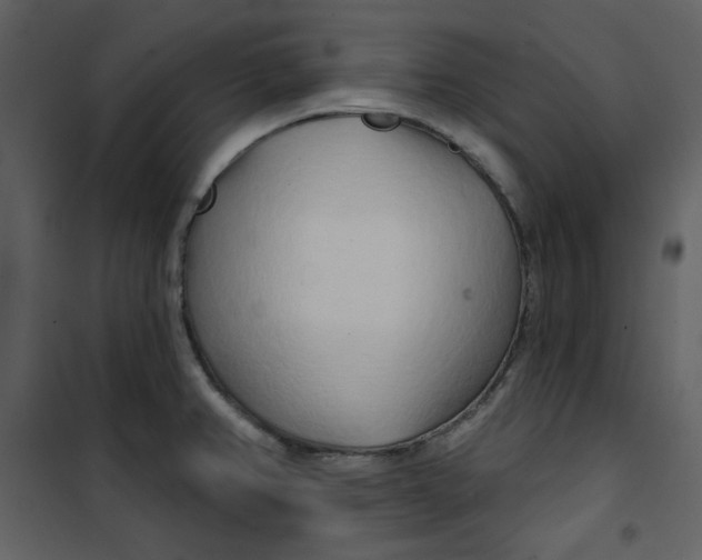 X0000100781382200807171432