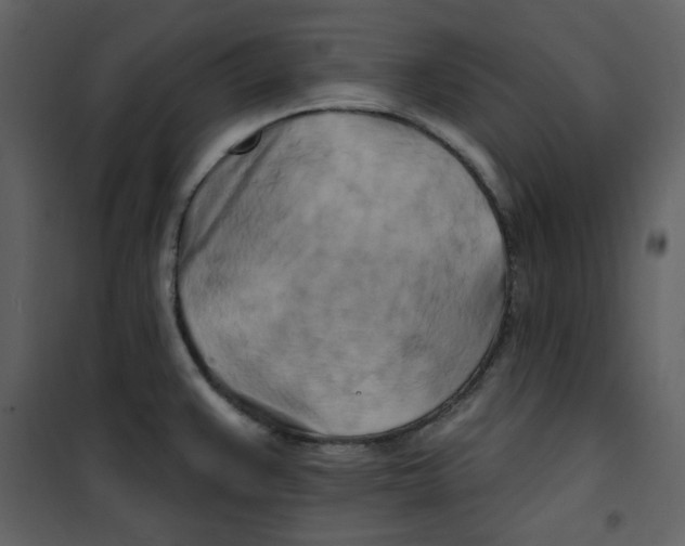 X0000100781383200807171432