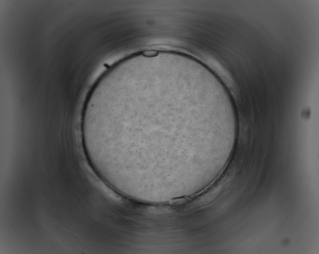 X0000100781384200807171432
