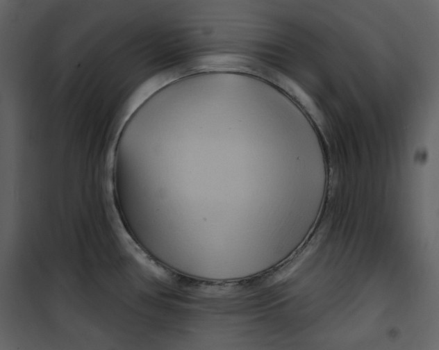 X0000100781386200807171432