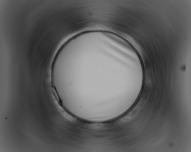 X0000100781388200807171432