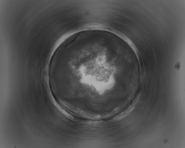 X0000100781389200807171432