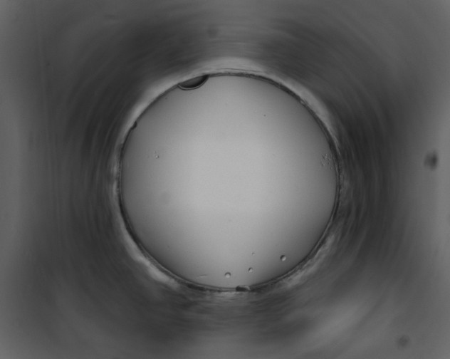 X0000100781390200807171432