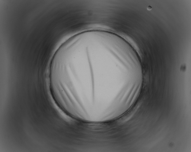 X0000100781391200807171432
