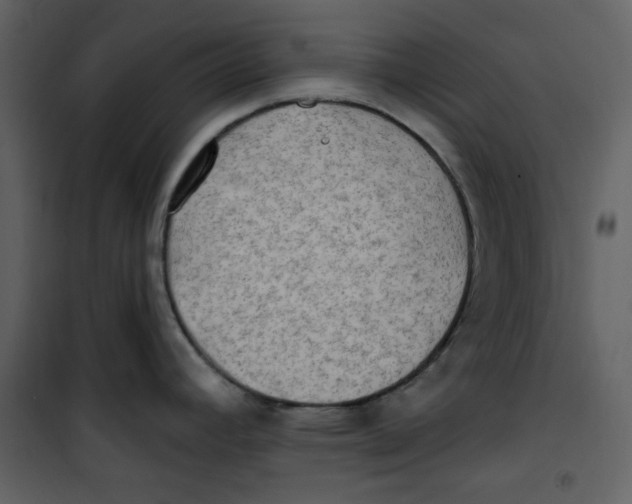 X0000100781392200807171432