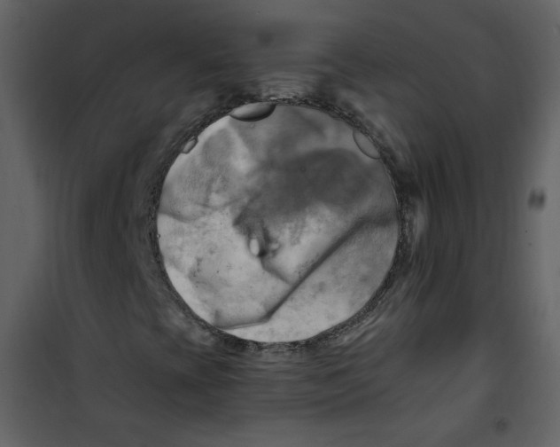 X0000100781393200807171431