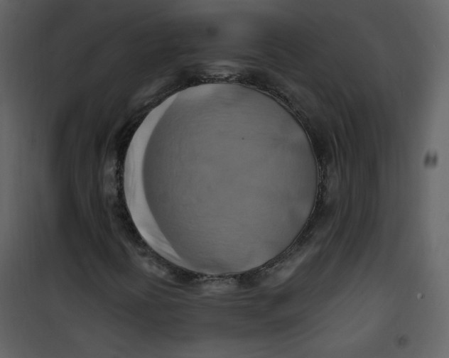 X0000100781394200807171431