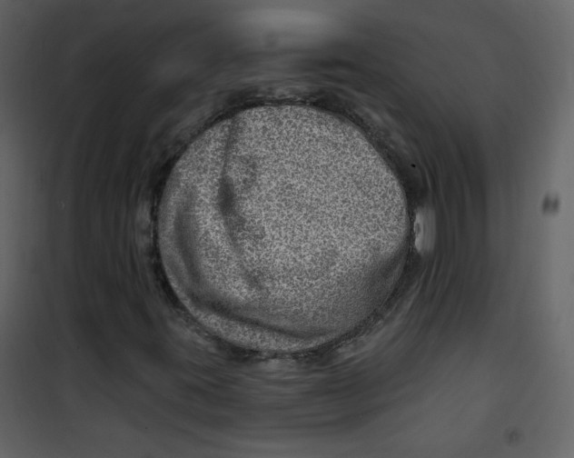 X0000100781395200807171431