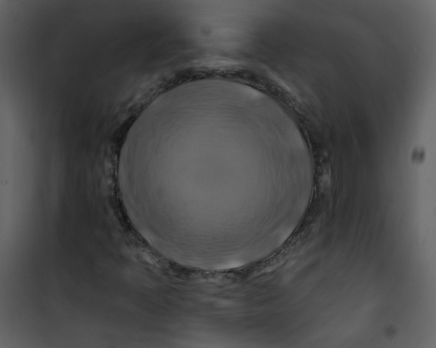X0000100781397200807171431