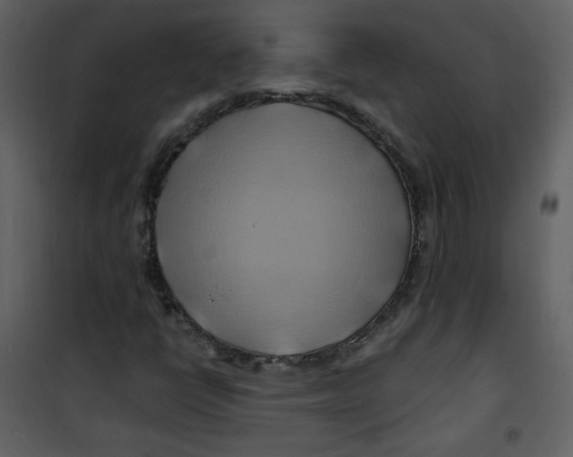 X0000100781398200807171431