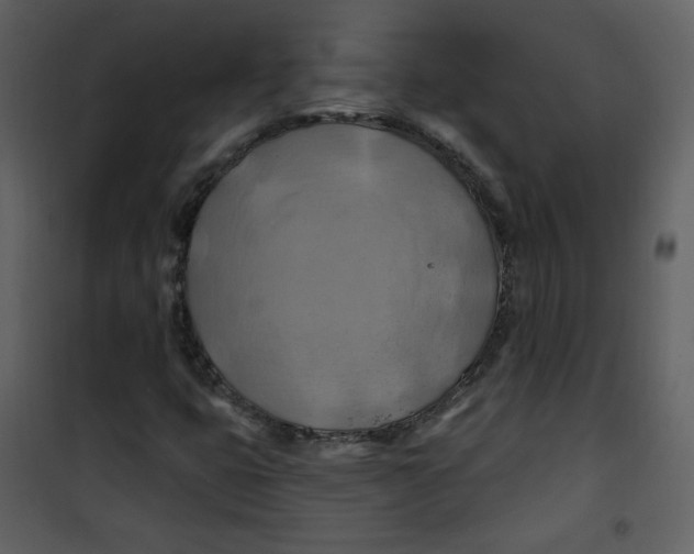X0000100781399200807171431