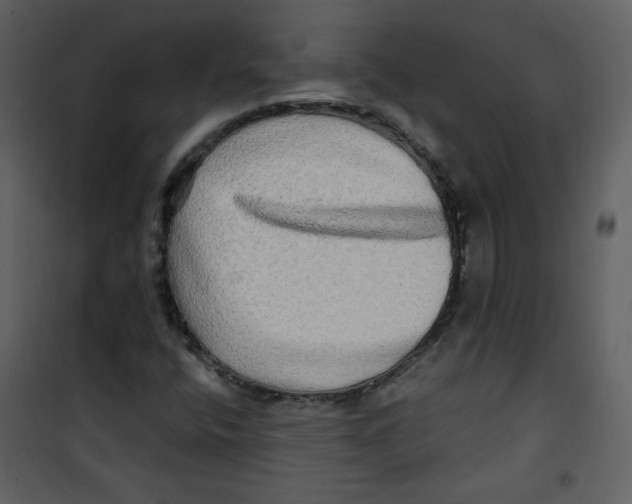 X0000100781400200807171431