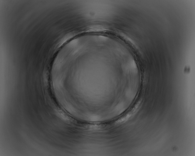 X0000100781401200807171431