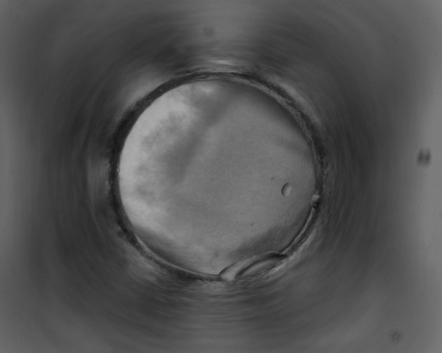 X0000100781402200807171431