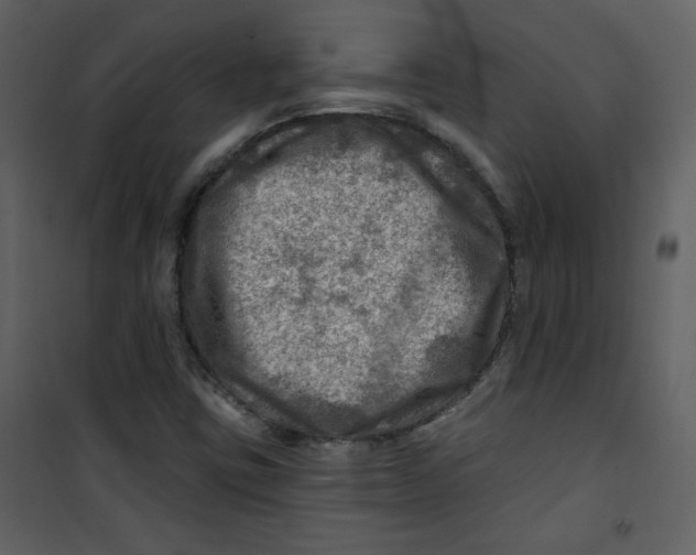 X0000100781403200807171431