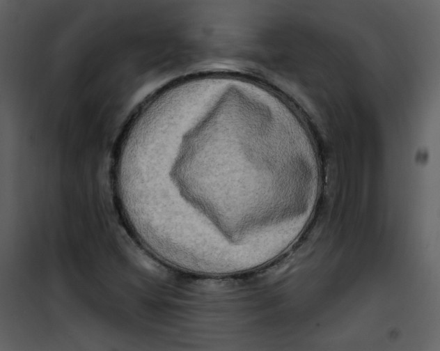 X0000100781404200807171431