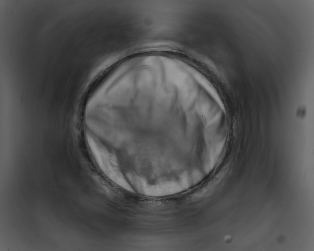 X0000100781405200807171431