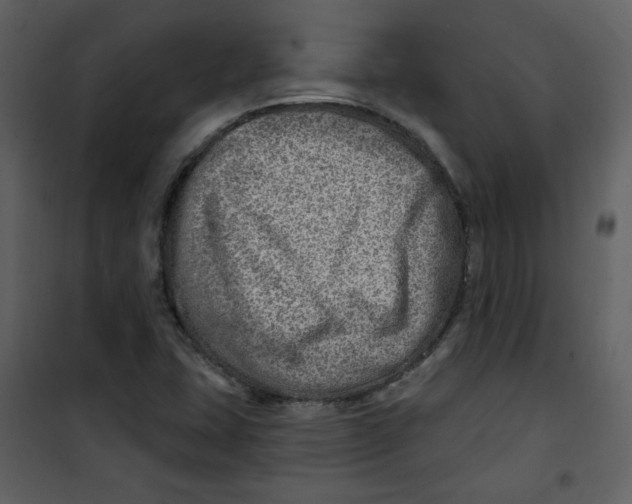 X0000100781407200807171431