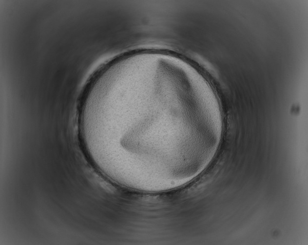X0000100781408200807171431