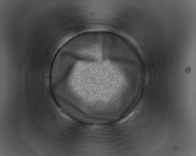 X0000100781409200807171431