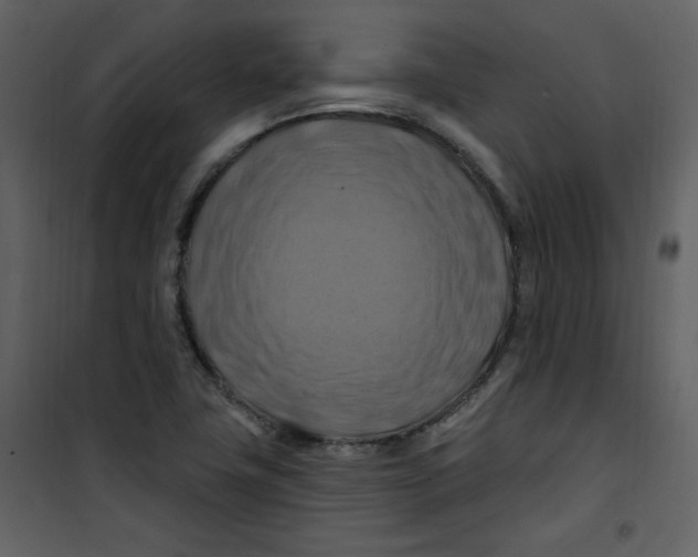 X0000100781411200807171431