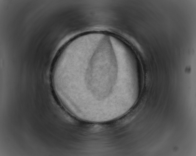 X0000100781412200807171431