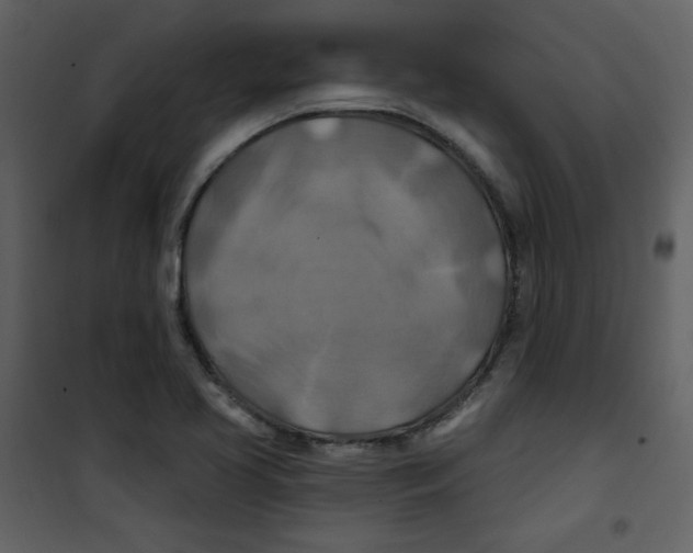 X0000100781413200807171431