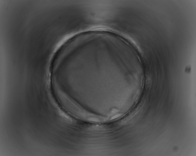 X0000100781414200807171431