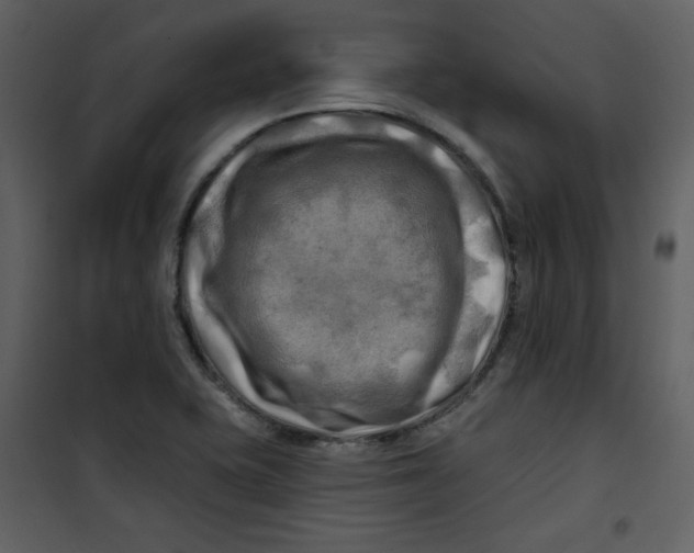 X0000100781415200807171432