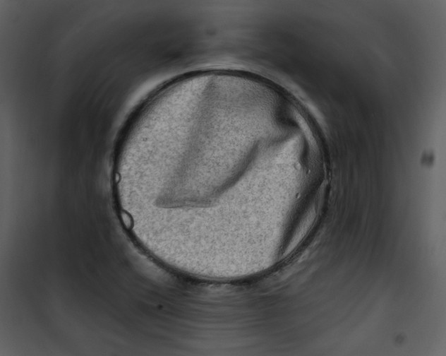 X0000100781416200807171432