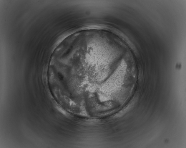 X0000100781417200807171432