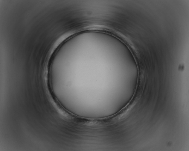 X0000100781418200807171432