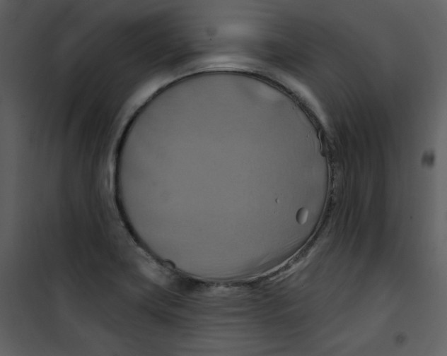X0000100781419200807171432