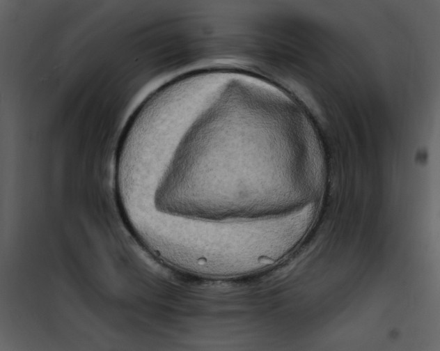 X0000100781420200807171432