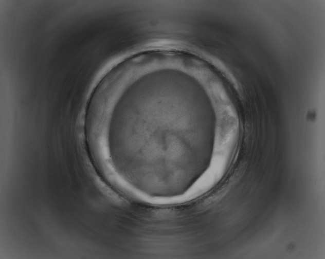 X0000100781421200807171432