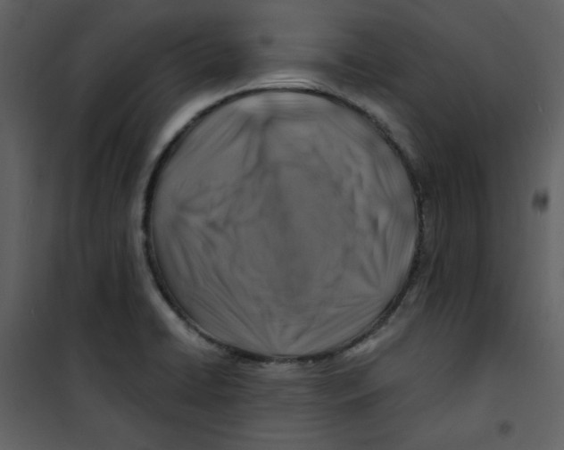 X0000100781422200807171432
