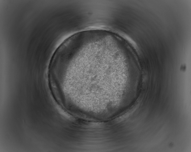X0000100781423200807171432