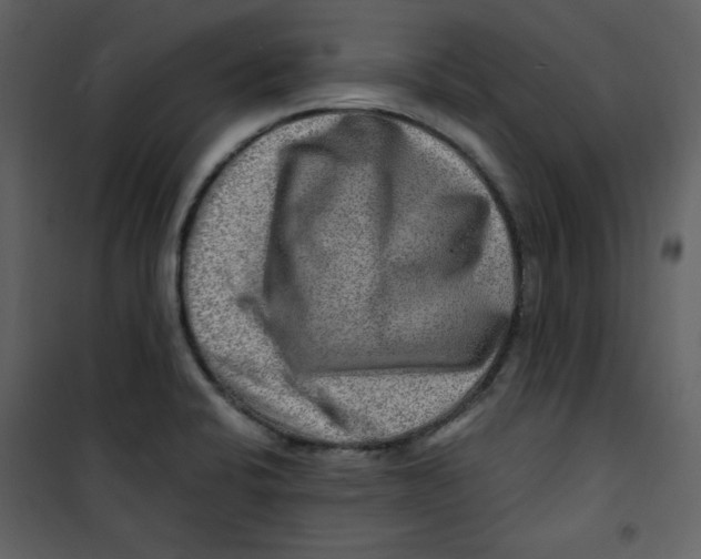 X0000100781424200807171432
