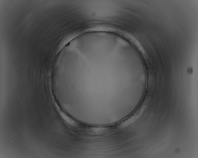 X0000100781425200807171432