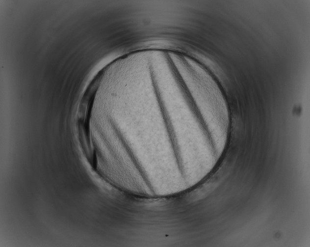 X0000100781426200807171432